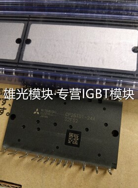 全新CP10TD1-24A CP15TD1-24A CP20TD1-24A CP25TD1-24A CP30TD1