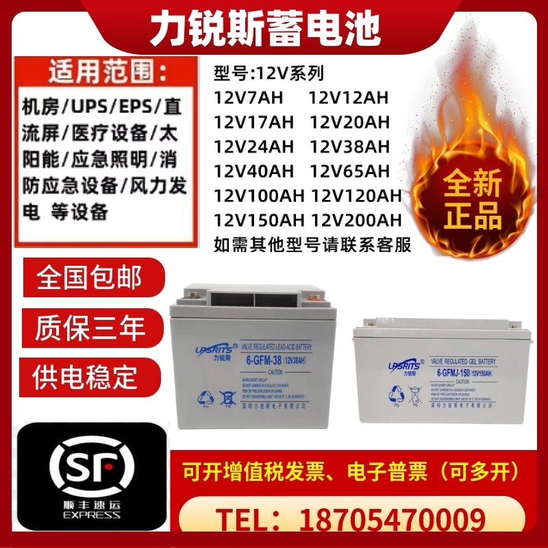 力锐斯蓄电池6-GFM-100 12V100AH65AH38AH24AH UPS/EPS/应急备电图片