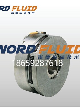 07.40.134.01 ESBR134/Z意大利MWM Freni e Frizioni多片式离合器