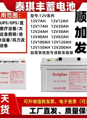 Techfine泰琪丰蓄电池UD12-38/12V17A24A40A65A100A120AH通讯消防