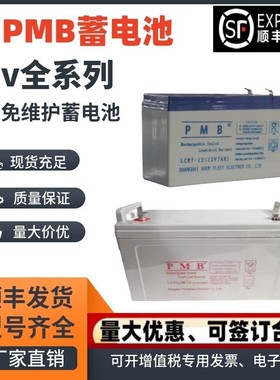PMB蓄电池LCR/LCPC/LCPA12V24A38A40A65A100A120A150A200A机房EPS