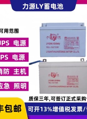 力源LY121000蓄电池12V100AH12A17A20A24A38A40A65AH消防主机备用