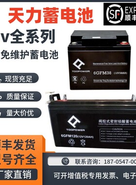 天力蓄电池6GFM-12V7A12A17A24A35A38A40A65AH100AH应急直流屏UPS