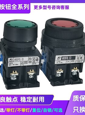 平头带灯按钮开关AR22FOL AR30 AR22F0L F5L E3 E4 10 11 G