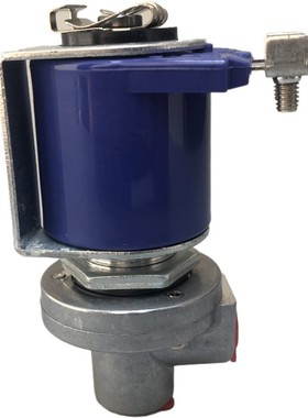 一分电磁阀 RCA3D2先导阀 电压齐全 紫色电磁阀