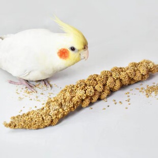 新谷穗鹦鹉黄谷穗带壳黄谷子小太阳玄凤虎皮牡丹饲料鸟粮粮食小米