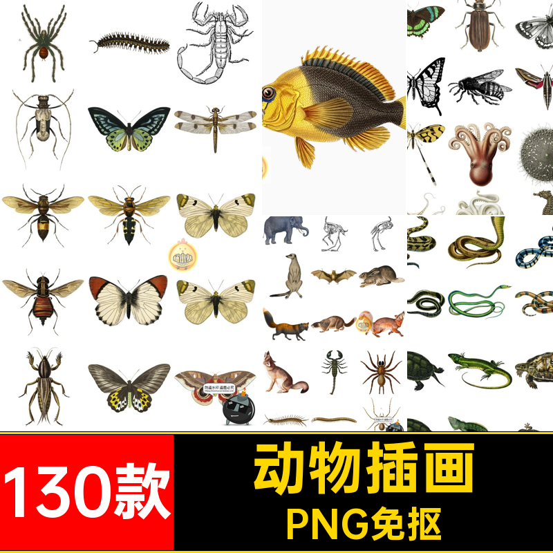 昆虫动物插画PNG免抠剪贴130款艺术海洋生物拼贴素材爬行动物哺乳,商务/设计服务,设计素材/源文件,淘宝优惠券,粉丝福利购,淘宝优惠卷