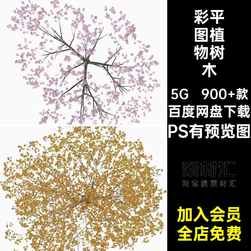 园林景观总平面图植物树木图例ps素材psd免抠小清新竞赛风彩平图