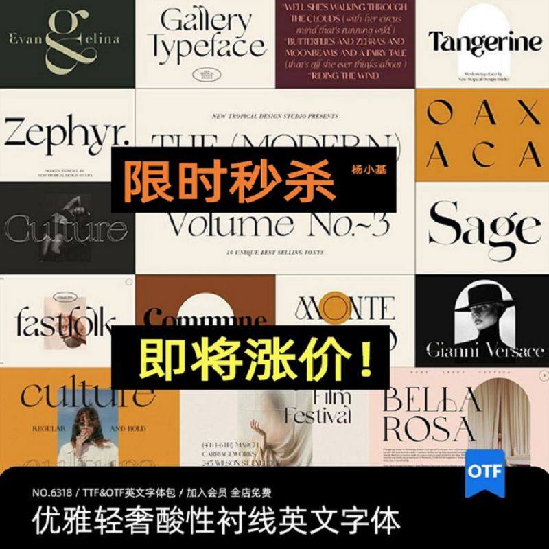 10套杂志英文字体LOGO标题衬线奢高级包OTF ttf海报北欧轻酸性