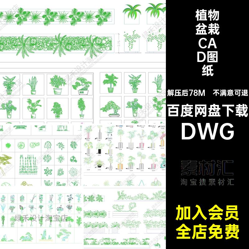 盆景盆栽CAD图纸DWG素材图块施工图植物花盆花草室内立面绿植家装