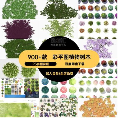 彩平图植物树木PS有预览图总平面图风彩psd图例小抠素材清新竞赛