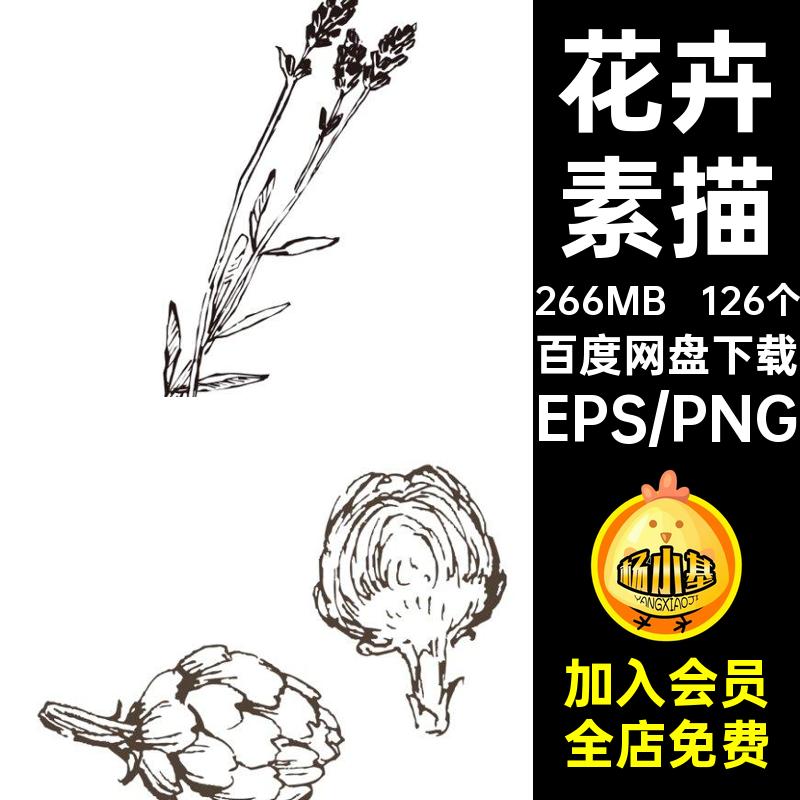 手绘线稿素描简笔画草本植物花卉化妆品包装矢量PNG免抠图片素材