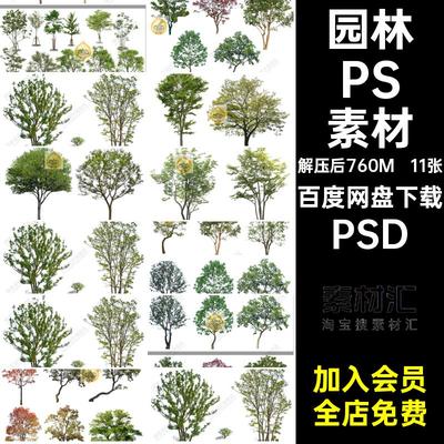 朴树PSD素材后期立面psd植物景观独11张园林乌桕树丛生效果图乔木