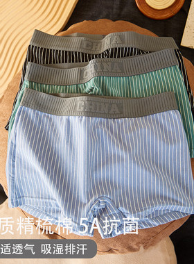 棉四角内裤女士抗菌t四角短裤
