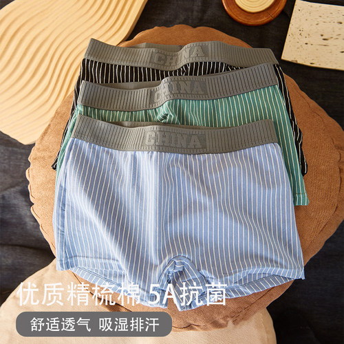 棉四角内裤女士抗菌t四角短裤