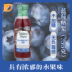 美国Walden Farms健身蓝莓糖浆无卡无脂无胆固醇低碳340g健身生酮