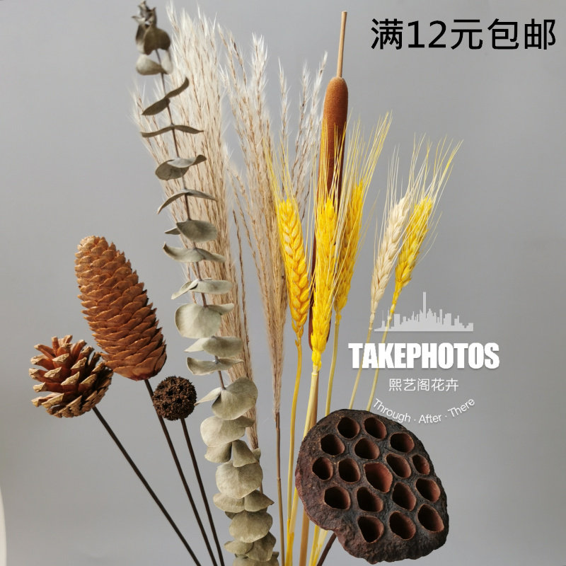 ins Net Red natural Dried flowers Cotton Ear of Wheat Spend eternity tearful Rabbit tail grass flower arrangement a living room decorate Decorationin the Home accessories , Vase/Flower/Artificial flowers/Imitation jewelry , Dried flowers/Petal/Dried package/Dry twigs  category - from Buy2taobao.com to provide professional Taobao agent buy service