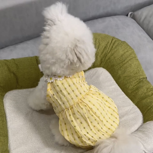 小狗衣服夏天薄款网纱黄色比熊泰迪博美贵宾小型犬宠物连衣裙公主