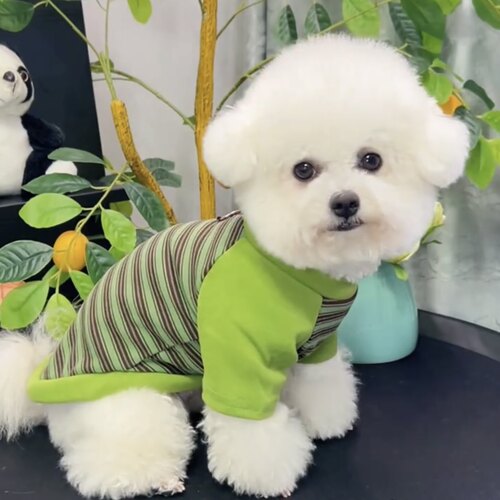 狗狗衣服秋天可牵引防掉毛雪纳瑞泰迪博美比熊小型犬宠物打底衫