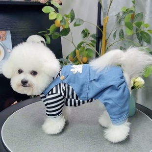 春秋薄款宠物四脚衣小型犬泰迪博美比熊贵宾狗狗衣服防掉毛可牵引