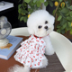 宠物狗狗裙子公主风夏季 小型犬衣服泰迪博美比熊可牵引吊带裙 薄款