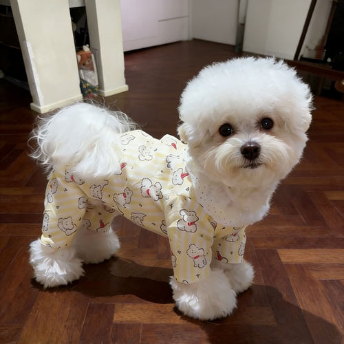 宠物四脚衣薄款春夏季包肚衣家居服狗狗衣服小型犬泰迪比熊可牵引