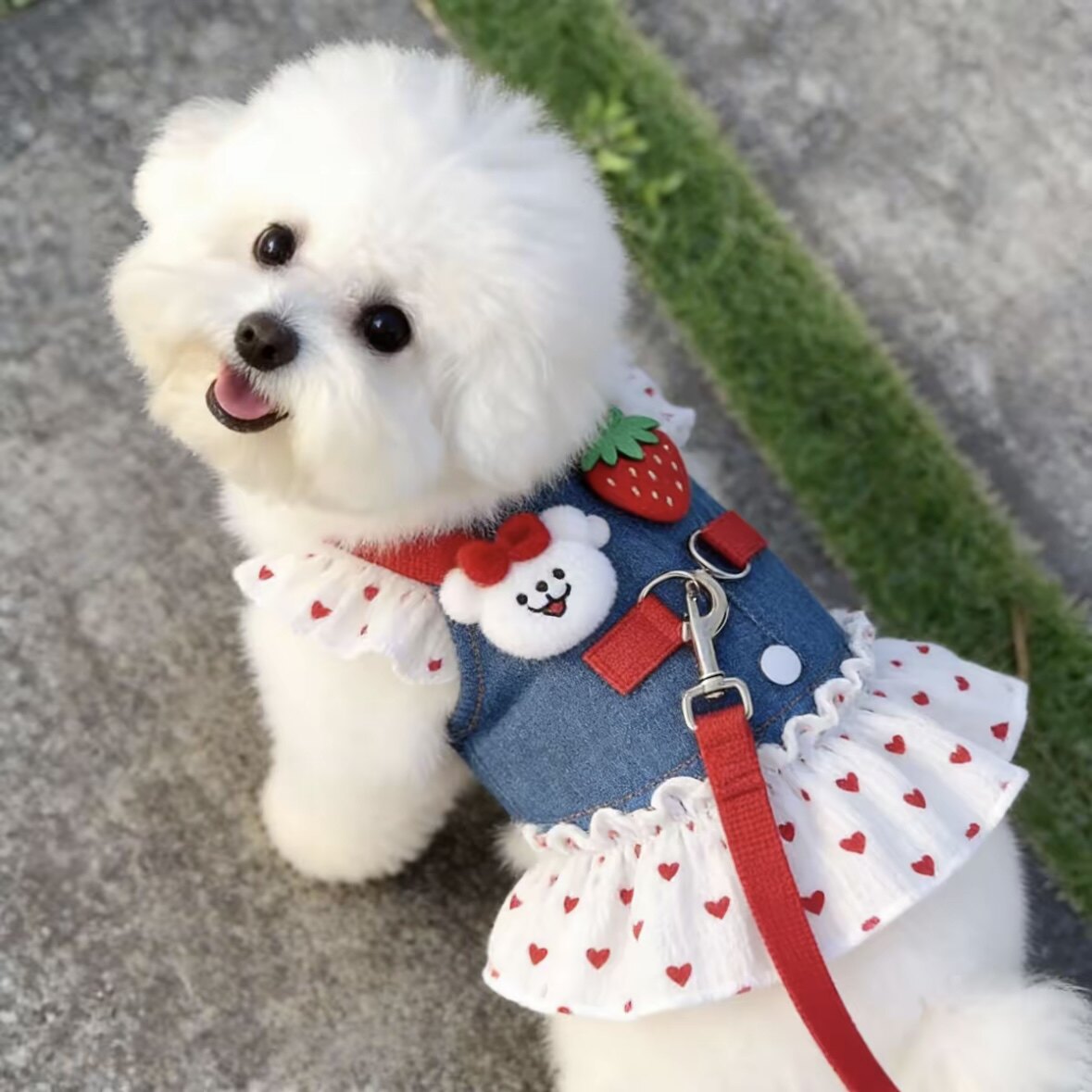 比熊狗狗衣服春夏款泰迪博美小型犬雪纳瑞公主风宠物胸背裙可牵引