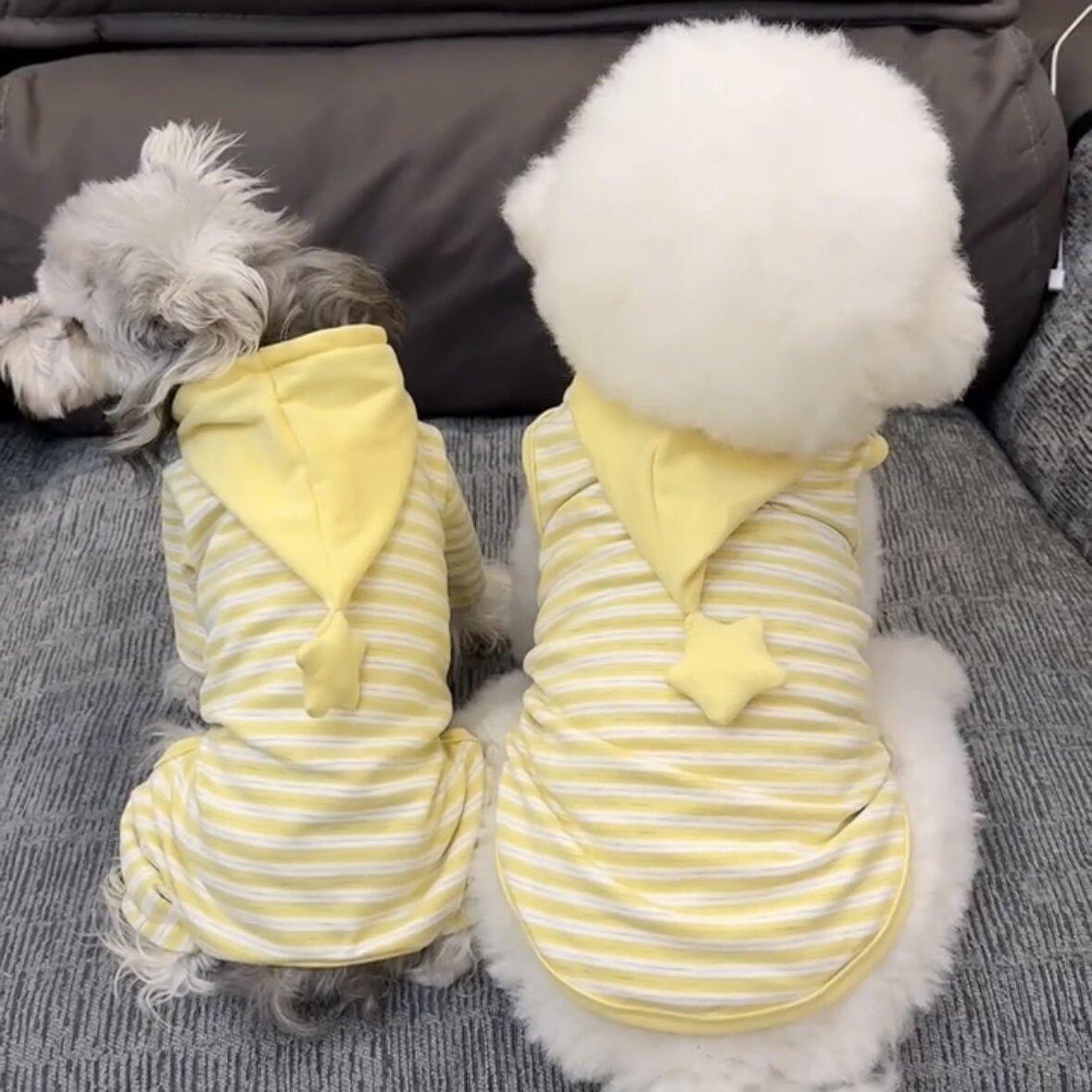 小型犬狗狗衣服秋冬德绒四脚包肚衣家居服睡衣打底衫泰迪博美比熊