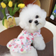 狗狗裙子公主风夏季 衣服泰迪博美比熊小型犬衣服宠物连衣裙 薄款