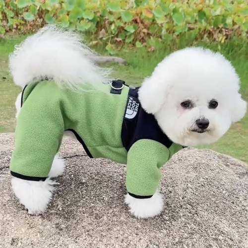 宠物四脚衣秋冬外出可牵引泰迪博美比熊小型犬狗狗衣服冬季棉衣