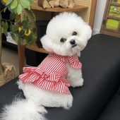 狗狗裙子红色泰迪小型犬泰迪博美比熊贵宾可牵引春夏薄款 宠物衣服