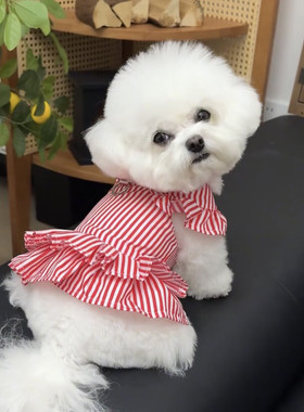 狗狗裙子红色泰迪小型犬泰迪博美比熊贵宾可牵引春夏薄款宠物衣服