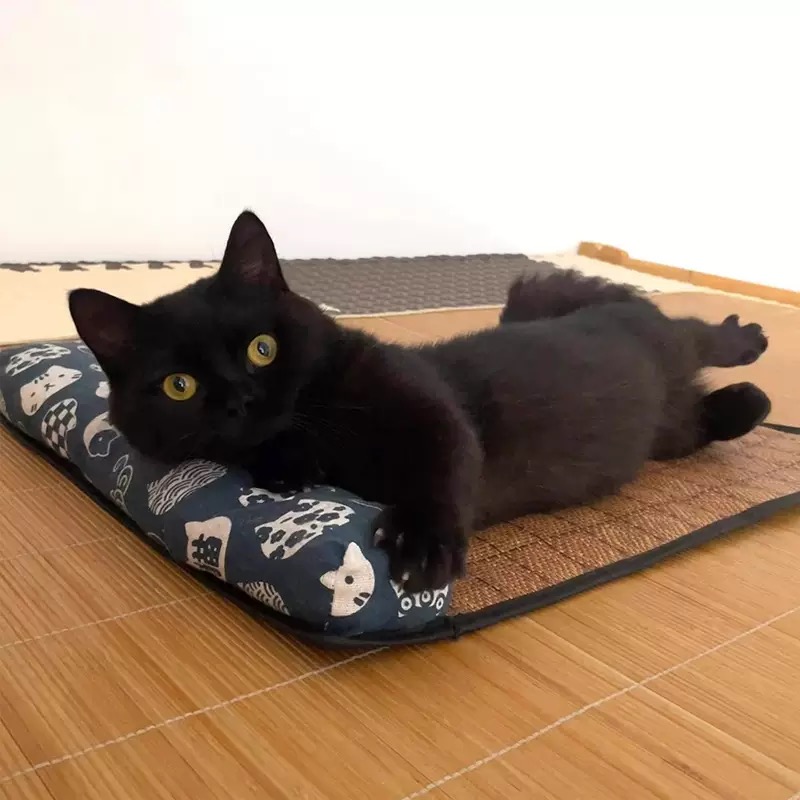 日式猫窝凉席抱枕垫子夏季靠枕