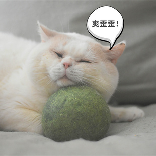 超大号猫薄荷球实心旋转球逗猫磨牙猫快乐缓解猫紧张自嗨互动玩具