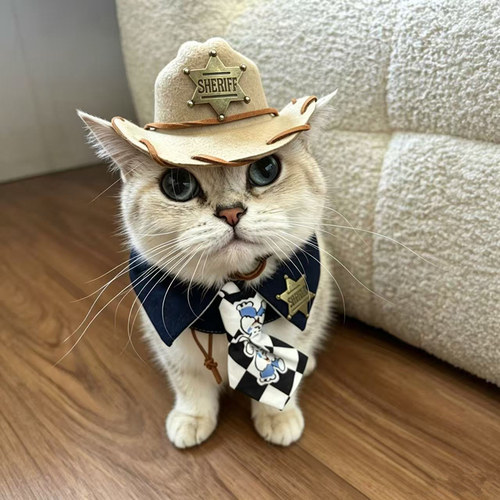 猫狗牛仔西部领带帽围巾