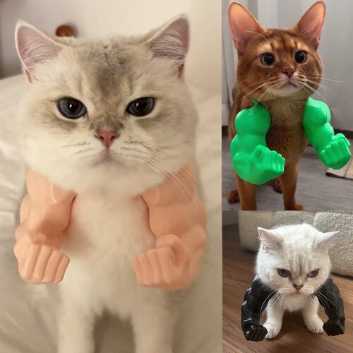 猫咪挂脖子肌肉假手臂