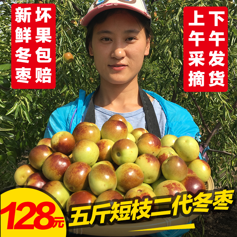 短枝二代沾化新鲜5斤包邮冬枣