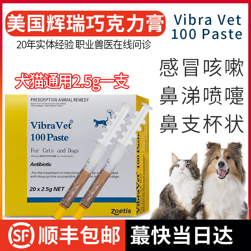 辉瑞巧克力膏猫鼻支原体狗狗感冒咳嗽流鼻涕杯状猫咪口炎疱疹病毒