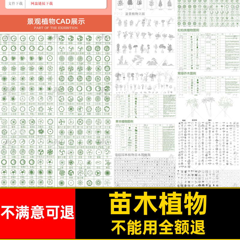 草花植物平立面图图块CAD图例园林景观设计施工图苗木库模块松柏