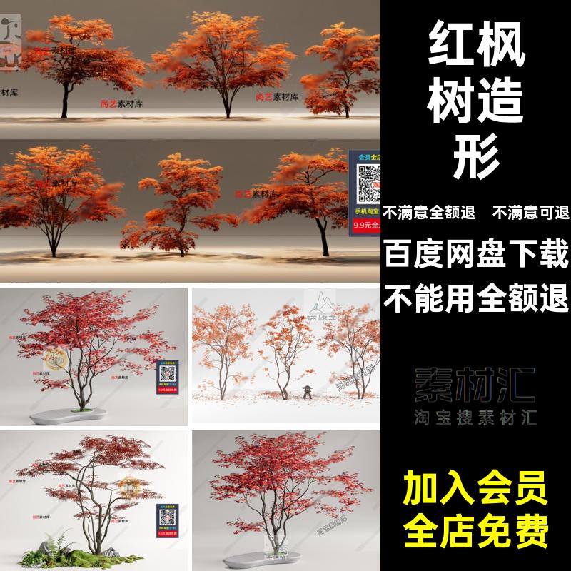 枫叶造形3D树模型红枫树3D模型鸡爪槭色造景景观模型景观色色色