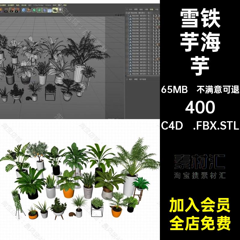 盆栽散尾葵C4D .FBX.STL植物盆栽三维模型铁芋盆景海芋万年青芦荟
