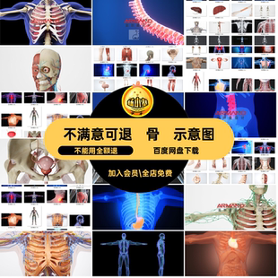 高清人体结构图库素材医疗示意经脉肌肉图片海报效果图骨骼人体