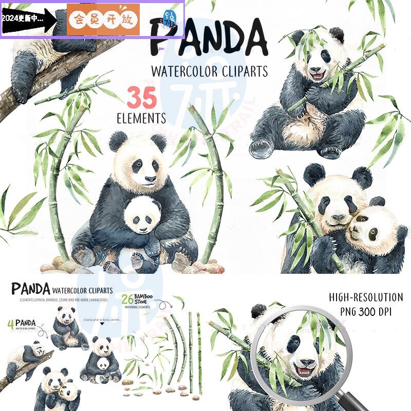 水彩手绘动物石头竹子岩石可爱熊猫宝宝大熊猫插画PNG免抠图素材