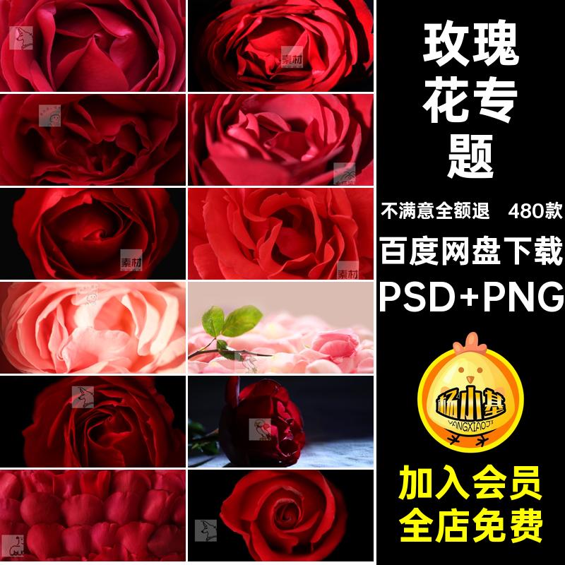 婚礼花枝PSD PNG手绘模板专题免玫瑰花抠480款支单情人节素材各色