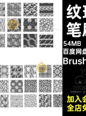纹理笔刷Brushset婚纱30款图案蕾丝花边花纹服饰pro