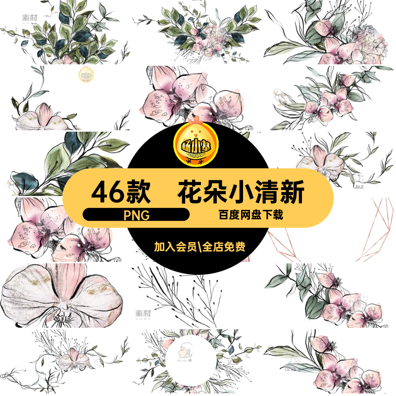 叶子枝叶PNG免清新植物免抠材手绘素材花卉抠图手绘水彩植物46款