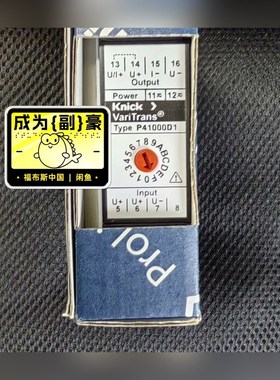 P41000D1德国科尼可Knick隔离放大器原装 议价