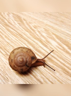 E5CC-QX2ASM-002到货102台 议价