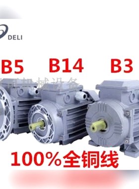 原装DELI电动机马达TYPE GS7124GS7134 议价