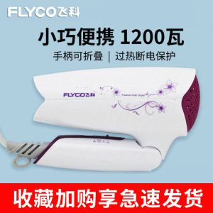 飞科电吹风机家用负离子护发吹风筒小型便携可折叠宿舍学生不伤发